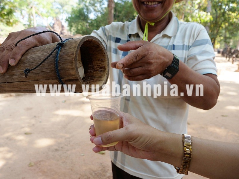 Đường thốt nốt nguyên chất mua ở đâu tại hcm