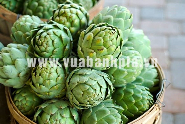 Mua bông atiso sấy khô ở đâu Mua bông atiso sấy khô ở đâu